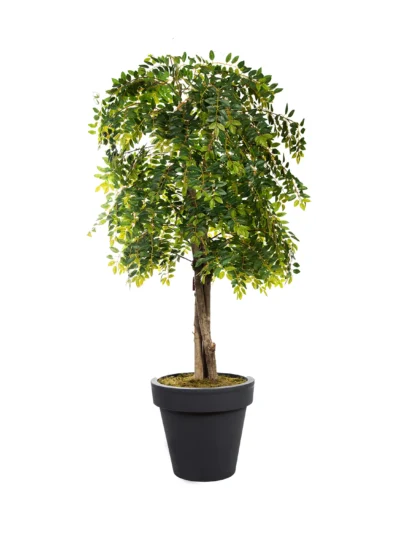 1012 Yesil 220 Cm