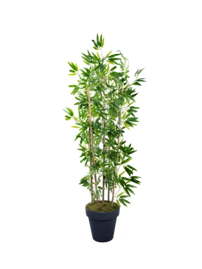 1032 Bambu 160 Cm