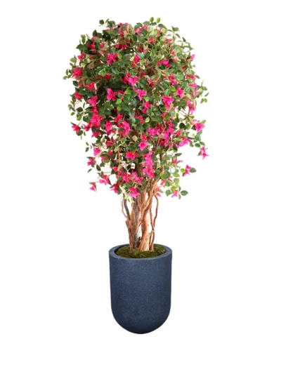 1076 Pembe Begonvil 190 Cm
