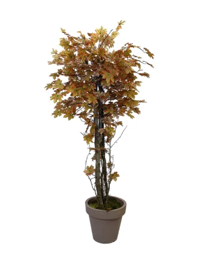 1079 Pastel Cinar 180 Cm