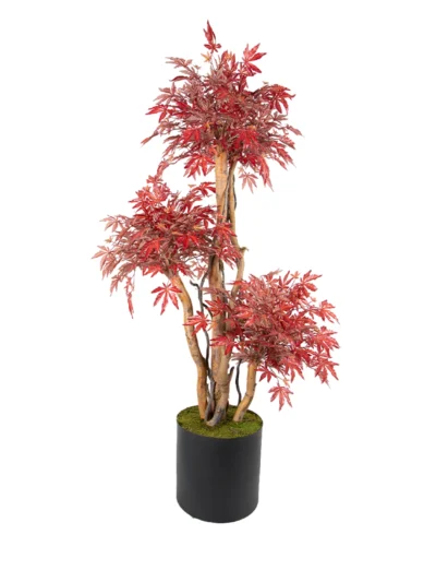 1096 Japon Akcaagac 180 Cm