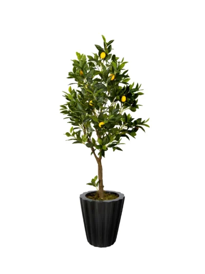 1111 Limon 140 Cm