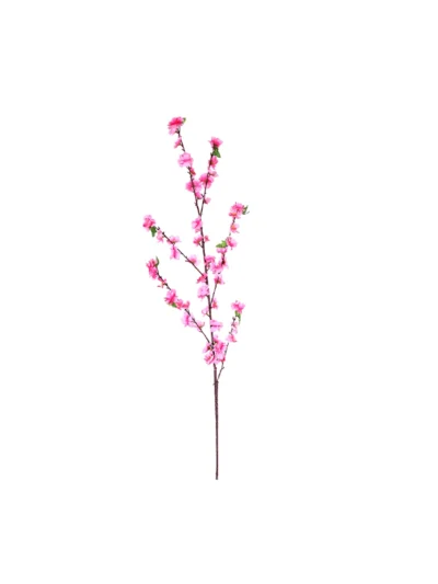 1523 Pembe