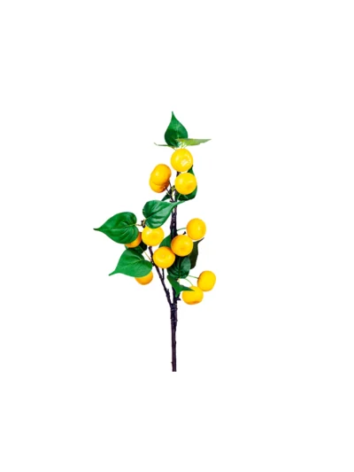 1582 Mandalina 73 Cm