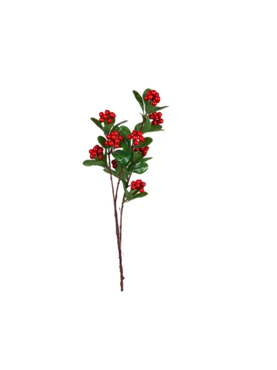 1585 Kirmizi Kokina 80 Cm
