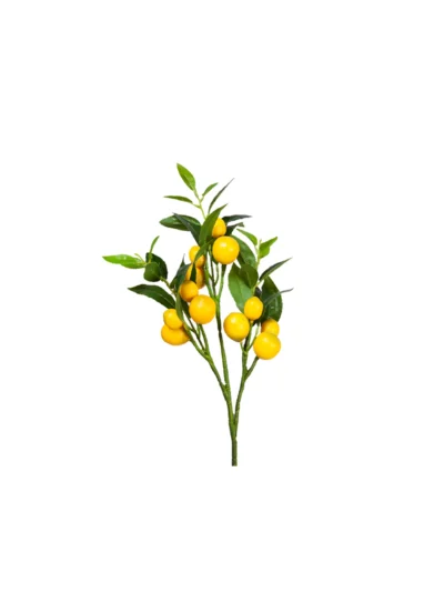1588 Limon 57 Cm