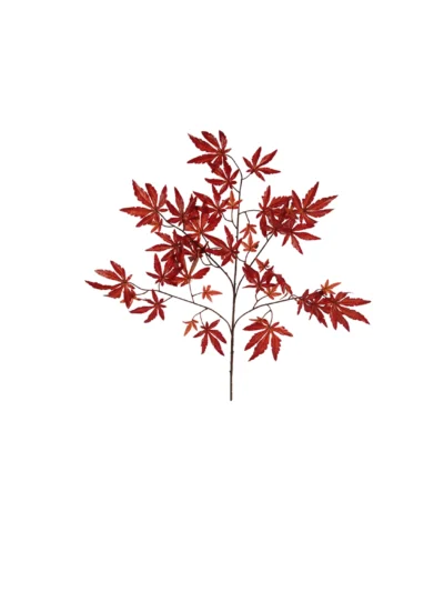 1640 Japon Akcaagac