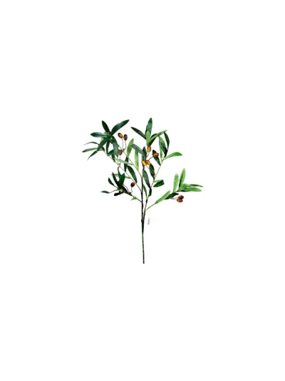 1651 Zeytin Dali 70 Cm