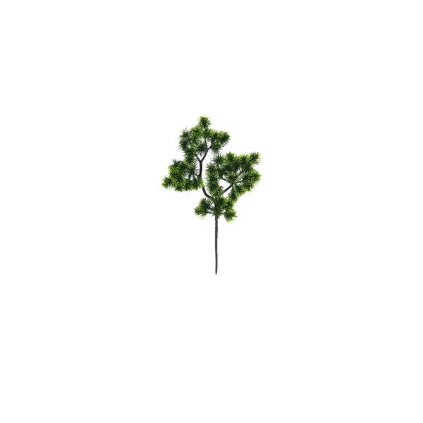 1657 Japon Bonsai