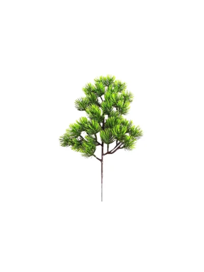 1658 Japon Bonsai