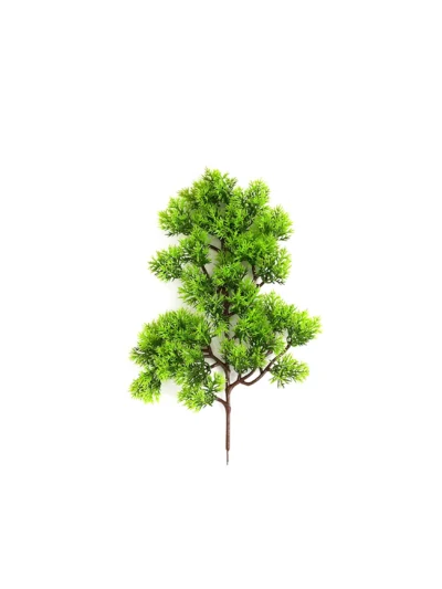 1659 Cam Bonsai
