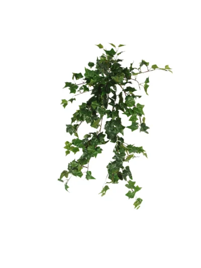 1676 Hedera 80 Cm