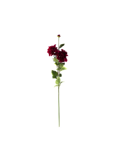 1900 Bordo