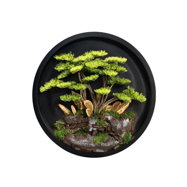 Ms22T 0004 Japon Bonsai 90 Cm