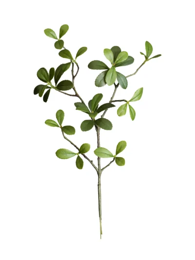 Ms4 0057 Ye L Ada Bahar E Dali 45 Cm