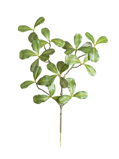 Ms4 0058 A Ik Ye L Ada Bahar E Dali 45 Cm