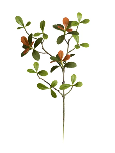 Ms4 0059 Renkl Ada Bahar E Dali 45 Cm