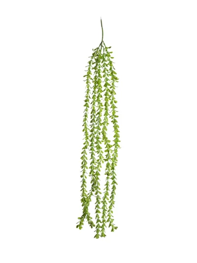 Ms5 0042 Trailing Vine 80 Cm