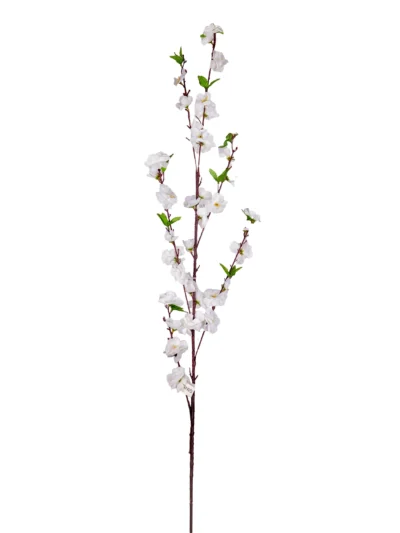 Ms6 0008 Beyaz Bahardali 120 Cm