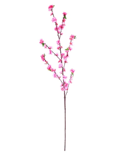 Ms6 0009 Pembe Bahardali 120 Cm
