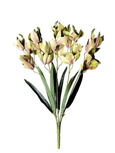 Ms6 0050 Islak Ye L Ork De 53 Cm