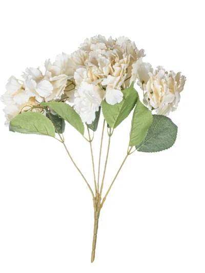 Ms6 0057 Somon Ortanca 45 Cm