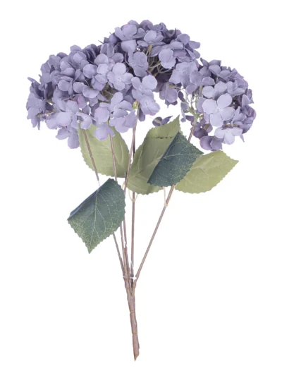 Ms6 0061 Lila Ortanca 45 Cm