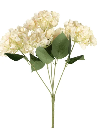 Ms6 0063 Somon Ortanca 45 Cm