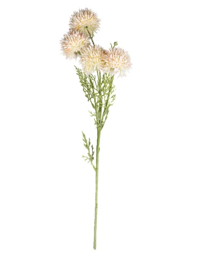 Ms6 0074 Somon Krizantem 75 Cm