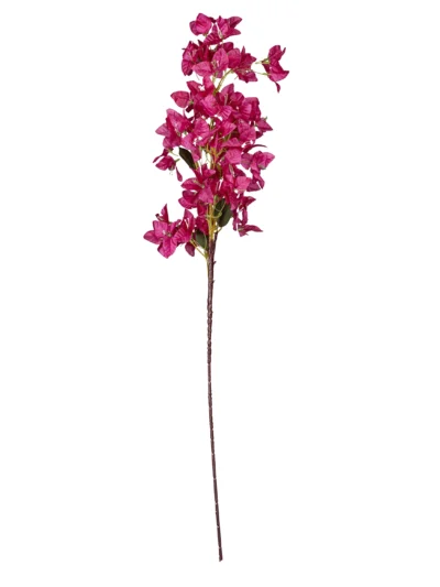 Ms6 0077 Pembe Begonvil 95 Cm