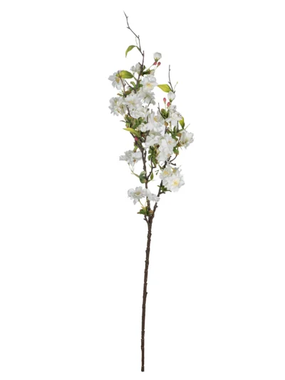 Ms6 0080 Eyaz Bahardali 75 Cm