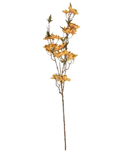 Ms6 0082 Turuncu Erik Cicegi Dali 88 Cm