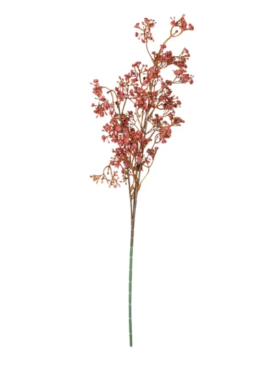 Ms6 0130 Bordo Cipso 69 Cm