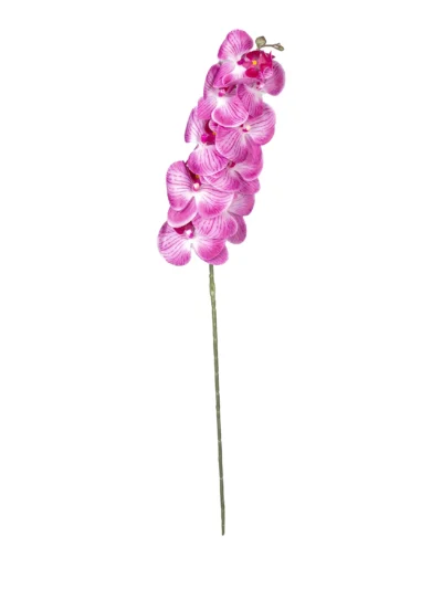 Ms6 0135 Islak Koyu Pembe Orkide 98 Cm