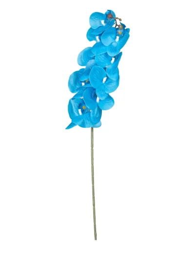 Ms6 0136 Islak Mavi Orkide 98 Cm