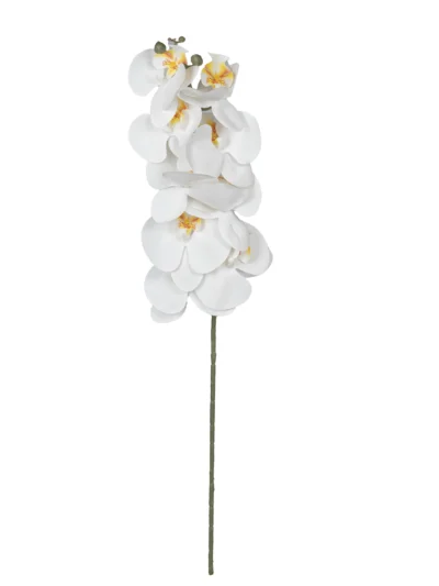 Ms6 0137 Islak Beyaz Orkide 98 Cm