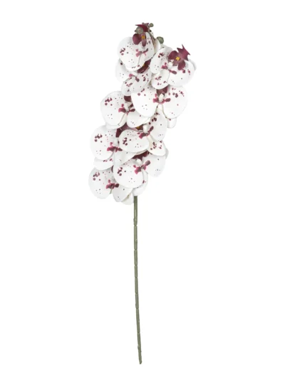 Ms6 0138 Islak Pembe Benekli Beyaz Orkide 98 Cm