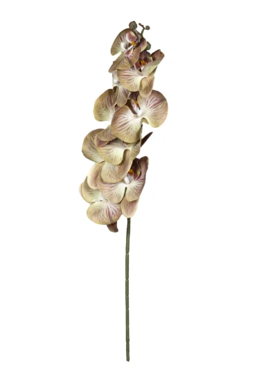 Ms6 0140 Islak Kahve Orkide 98 Cm